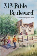 Cover: 313 Bible Boulevard - Leland King