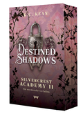 Cover: Destined Shadows: Spicy Reverse Harem Dark Romantasy - booXperts - logiXperts GmbH