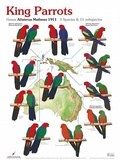 Cover: King Parrots - AVES Publishing GmbH & Co. KG