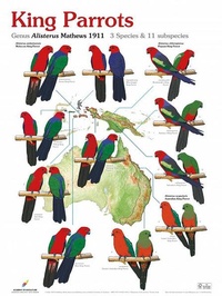 Enlarge image Cover: King Parrots - AVES Publishing GmbH & Co. KG