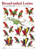 Cover: Broad-tailed Lories - AVES Publishing GmbH & Co. KG