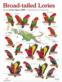 Enlarge image Cover: Broad-tailed Lories - AVES Publishing GmbH & Co. KG