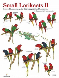 Enlarge image Cover: Small Lorikeets II - AVES Publishing GmbH & Co. KG