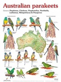 Cover: Australian parakeets - AVES Publishing GmbH & Co. KG