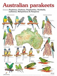 Enlarge image Cover: Australian parakeets - AVES Publishing GmbH & Co. KG