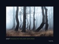 Cover: Magische W&auml;lder der Erde - KUNTH Wandkalender 2027 - Kunth Verlag