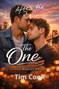 Cover: After the Rain (The One, #24) - UroS Taks
