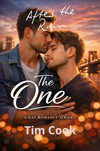 Enlarge image Cover: After the Rain (The One, #24) - UroS Taks