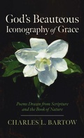 Cover: God's Beauteous Iconography of Grace - Resource Publications (CA)