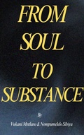 Cover: From Soul to Substance - Trail Blaze Publishers