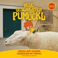 Cover: Folge 25 + 26 - Neue Geschichten vom Pumuckl - Universal Vertrieb