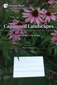 Enlarge image Cover: Captioned Landscapes - Vernon Press