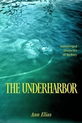 Cover: The Underharbor - University of Chicago Press