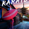 Cover: Miss Karate - Storytel Original