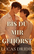 Cover: Bis du mir geh&ouml;rst - Lucas Dridik