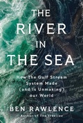Cover: The River in the Sea - St. Martin's Publishing Group