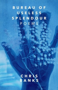 Enlarge image Cover: Bureau of Useless Splendour - ECW Press