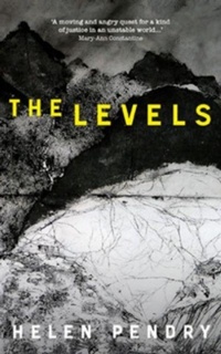 Enlarge image Cover: The Levels - Parthian Books