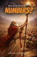 Cover: What Is the Book of Numbers? - START2FINISH BOOKS