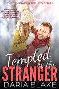 Cover: Tempted by the Stranger (The Temptation Hollow Series, #1) - Binge-Worthy Fiction