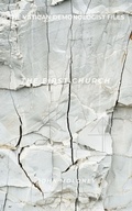 Cover: The First Church - John Moloney