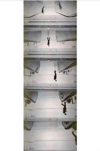 Enlarge image Cover: Peter Fischli. Addition, Subtraction, Multiplication - König, Walther