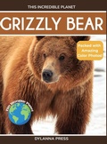 Cover: Grizzly Bear - This Incredible Planet