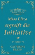 Cover: Miss Eliza ergreift die Initiative - Shenanigans