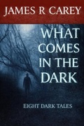 Cover: What Comes In The Dark - Carey-On Creative, LLC