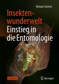 Cover: Insektenwunderwelt - Einstieg in die Entomologie - Springer