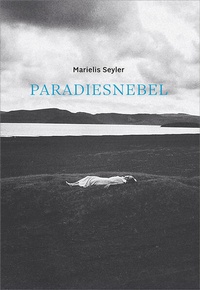 Enlarge image Cover: Paradiesnebel - Bibliothek der Provinz
