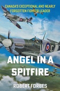 Cover: Angel in a Spitfire - Tellwell Talent