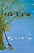 Cover: A Good Broom - Sheila-Na-Gig Editions