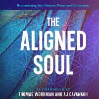 Enlarge image Cover: The Aligned Soul - Speaking From Source LLC
