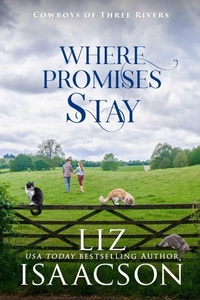 Enlarge image Cover: Where Promises Stay - Cowboys of Three Rivers