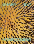 Cover: Sharif Bey: Homecoming - Andy Warhol Museum