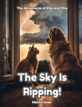 Cover: The Sky is Ripping! - Little Paw Press