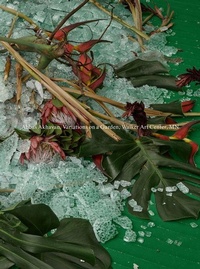 Enlarge image Cover: Abbas Akhavan: Variations on a Garden - Walker Art Centre,U.S.