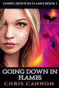Cover: Going Down In Flames - Going Down In Flames