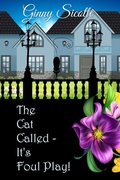 Cover: The Cat Called - It's Foul Play - SolidSavvy