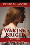 Cover: Waking Brigid (Gus and Ghost) - WDM Publishing
