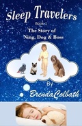 Cover: The Story of Ning, Dog, and Boss - Shirl & Brenda Colbath