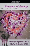 Cover: Moments of Eternity - Dancing Elephants Press