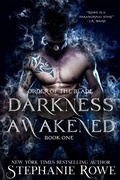 Cover: Darkness Awakened (Order of the Blade) - Stephanie Rowe
