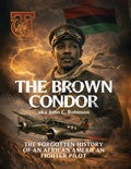 Cover: THE BROWN CONDOR - Panda Publishing Agency