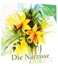 Cover: Die Narzisse - Samenkorn