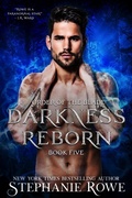 Cover: Darkness Reborn (Order of the Blade) - Authenticity Playground, LLC