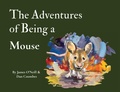 Cover: The Adventures of Being a Mouse - Foxtales & Dreams