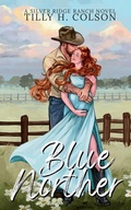 Cover: Blue Norther - Goldfinch & Keys Press