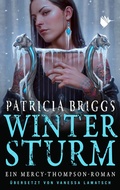 Cover: Wintersturm - Second Chances Verlag